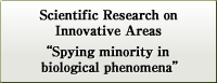 Scientific Research on Innovative Areas